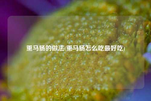 熏马肠的做法(熏马肠怎么吃最好吃)