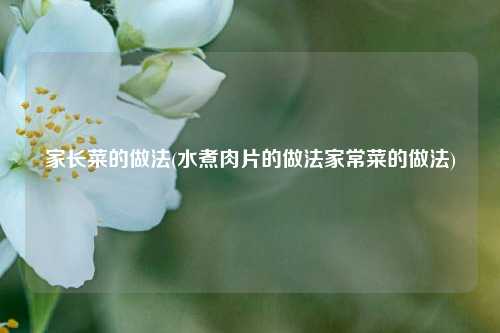 家长菜的做法(水煮肉片的做法家常菜的做法)