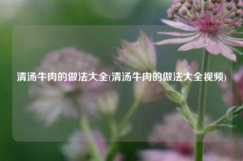 清汤牛肉的做法大全(清汤牛肉的做法大全视频)