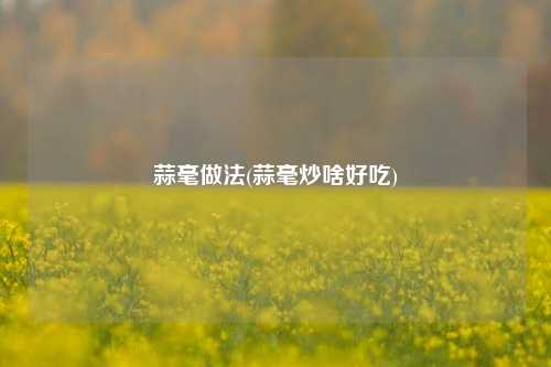 蒜毫做法(蒜毫炒啥好吃)