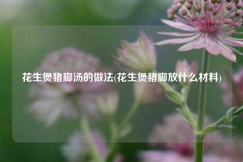 花生煲猪脚汤的做法(花生煲猪脚放什么材料)