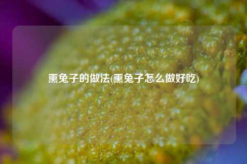 熏兔子的做法(熏兔子怎么做好吃)