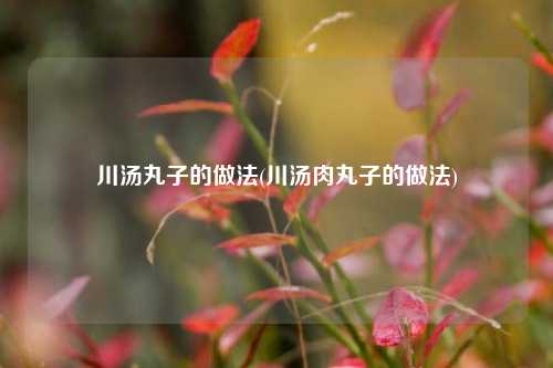 川汤丸子的做法(川汤肉丸子的做法)
