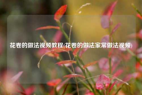 花卷的做法视频教程(花卷的做法家常做法视频)