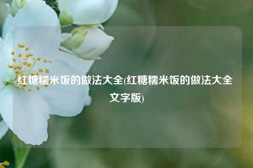 红糖糯米饭的做法大全(红糖糯米饭的做法大全 文字版)