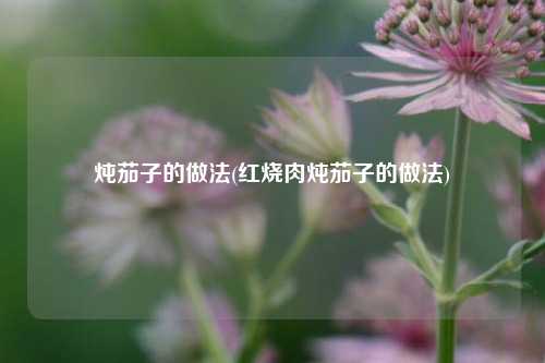 炖茄子的做法(红烧肉炖茄子的做法)
