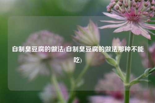 自制臭豆腐的做法(自制臭豆腐的做法那种不能吃)