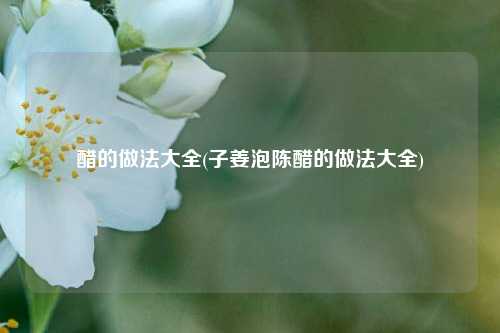 醋的做法大全(子姜泡陈醋的做法大全)