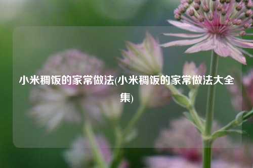 小米稠饭的家常做法(小米稠饭的家常做法大全集)