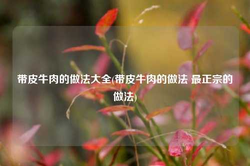 带皮牛肉的做法大全(带皮牛肉的做法 最正宗的做法)